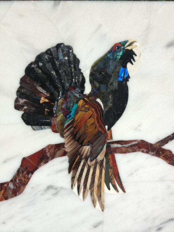 Capercaillie