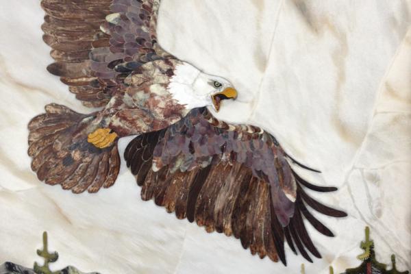 Eagle over the lake