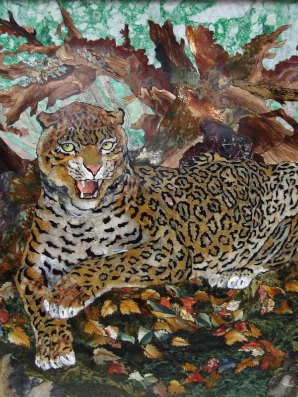 Leopard in the spring