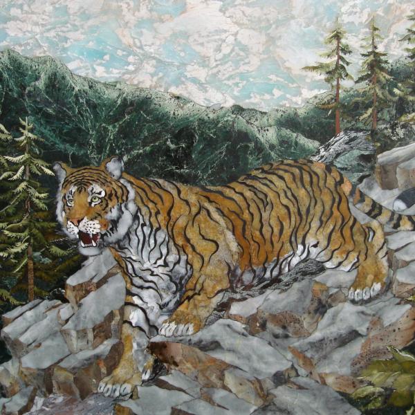 Tiger in summer 2